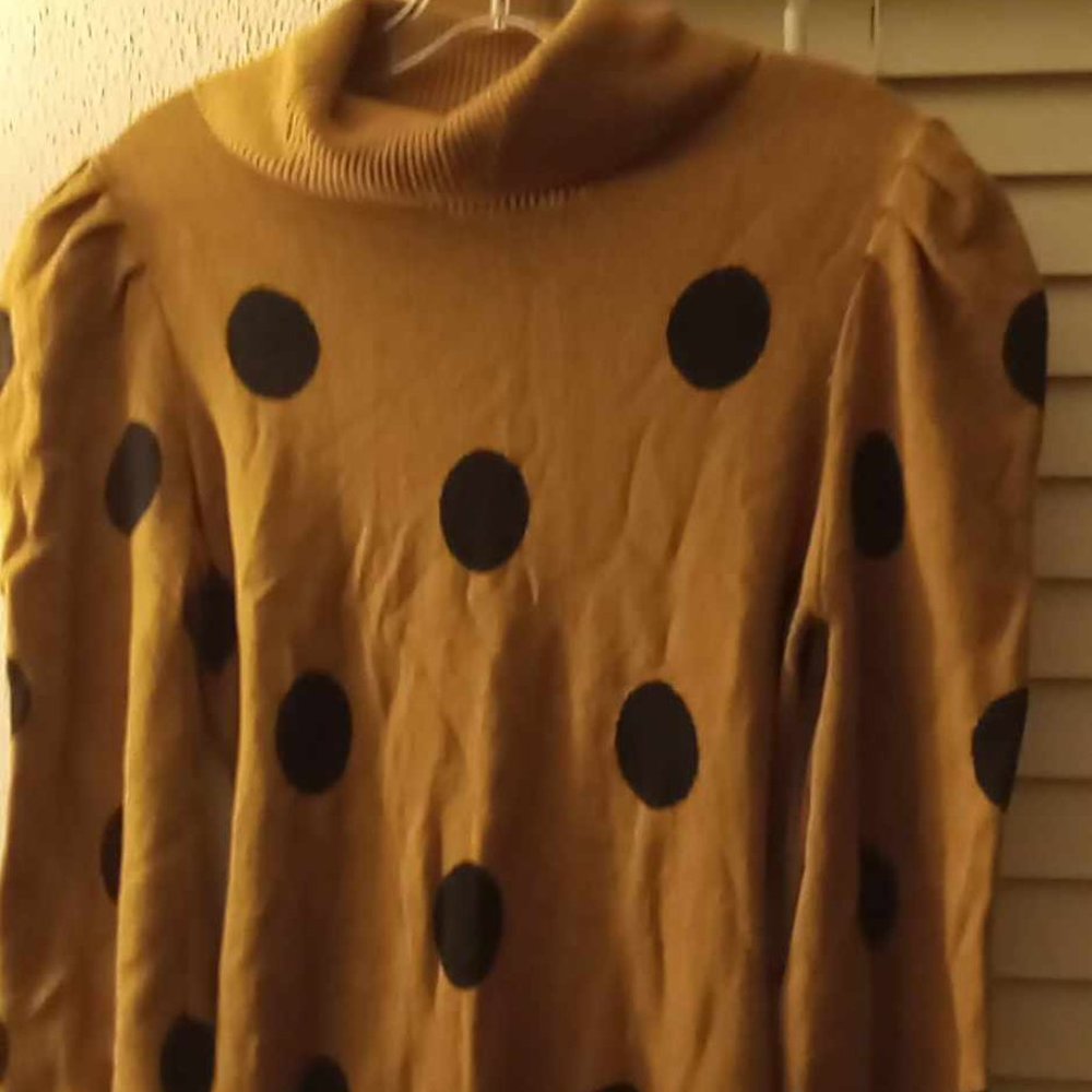 who wat wear  sweaters dress size  s